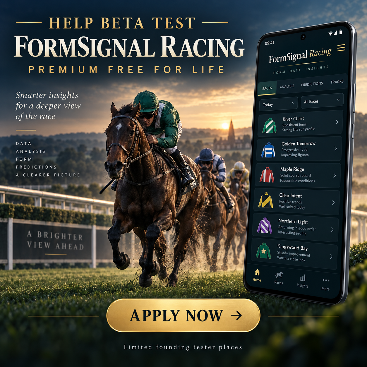 FormSignal founding beta campaign